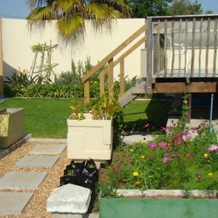 Disa Lodge Darling Exterior foto